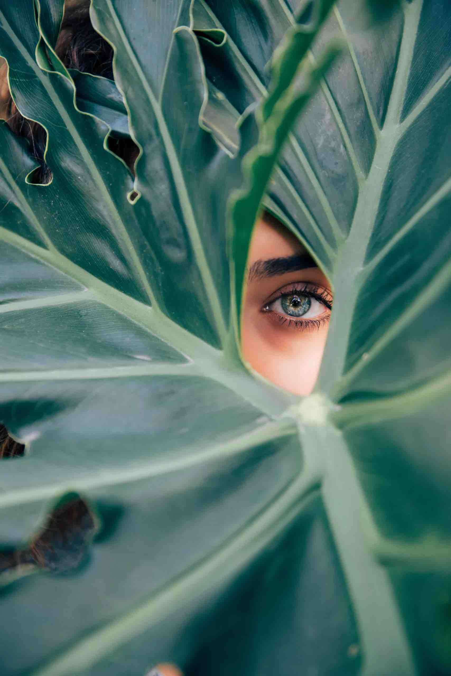 Shop Augen-Fit-Zentrum Startseite: Machen auch Sie Ihre Augen fit