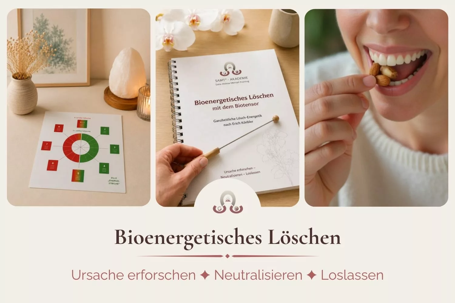 Bioenergetisches Löschen Bioenergetisches Löschen mit dem Biotensor – Onlinekurs der SAMT Akademie Das ist: