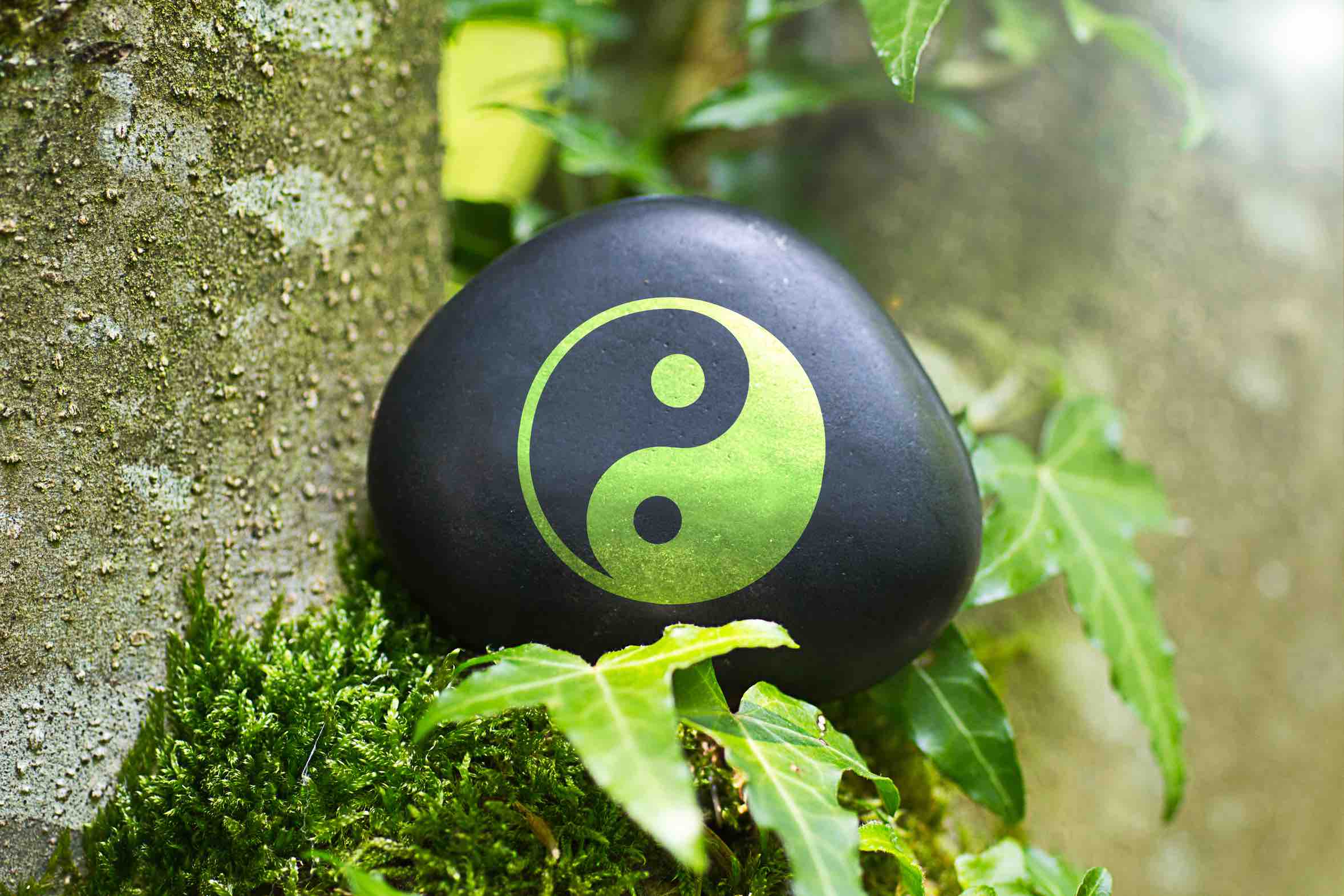 Energetik bringt Yin Yang in Harmonie und Balance: Special Packages